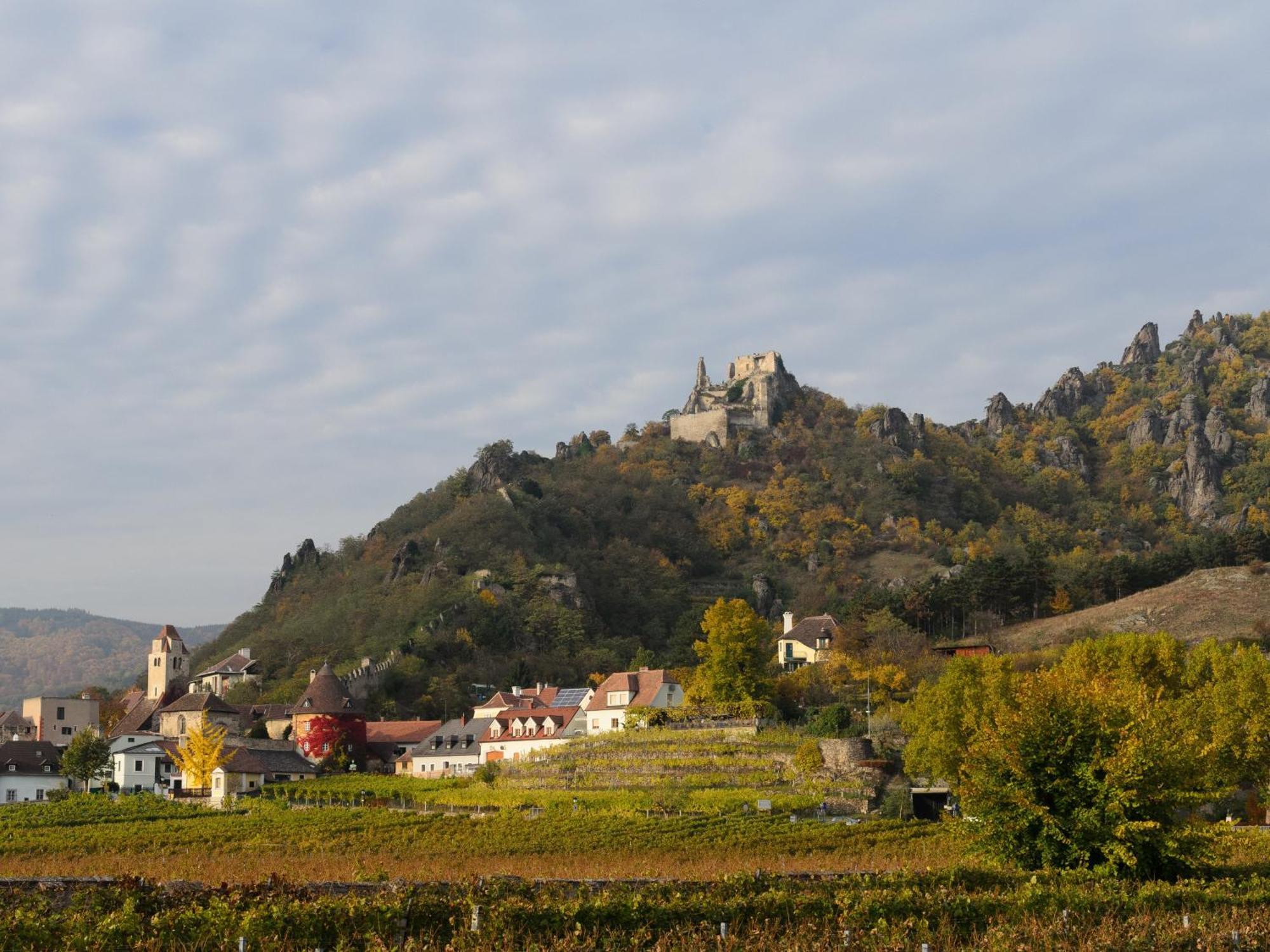 Ferienwohnung Weinbergblick Rohrendorf bei Krems Exterior photo